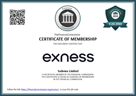 Understanding the Exness Cent Account A Guide for Beginners